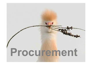 Procurement
 