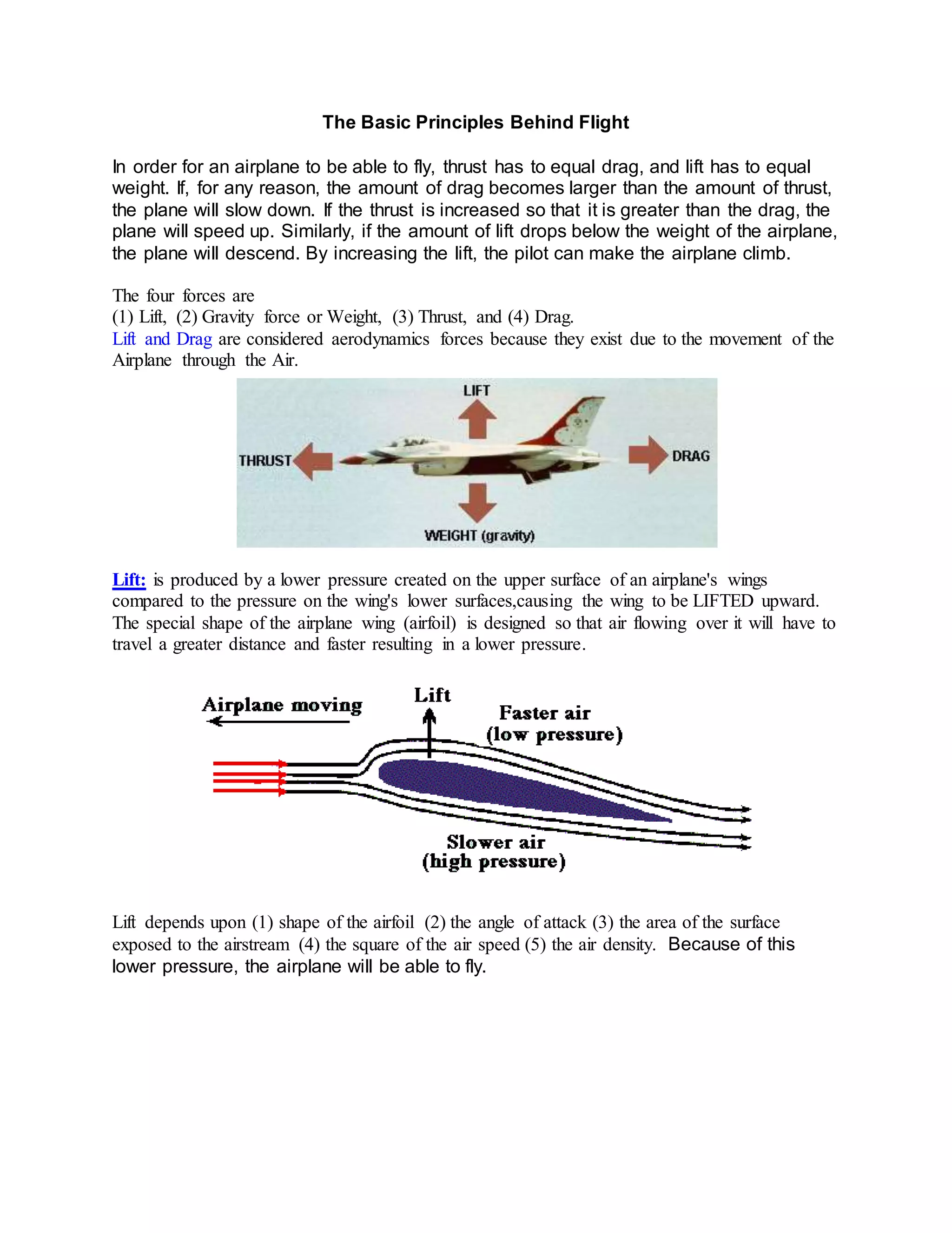 Are June Bugs Double Winged?  The Science Behind The Flight - 7cs465r
