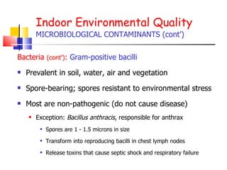 Indoor Environmental Quality MICROBIOLOGICAL CONTAMINANTS (cont’) Bacteria  (cont’) :   Gram-positive bacilli Prevalent in soil, water, air and vegetation Spore-bearing; spores resistant to environmental stress Most are non-pathogenic (do not cause disease) Exception:  Bacillus anthracis , responsible for anthrax Spores are 1 - 1.5 microns in size Transform into reproducing bacilli in chest lymph nodes  Release toxins that cause septic shock and respiratory failure 