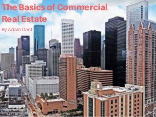 TheBasicsofCommercial
RealEstate
By Adam Gant
 