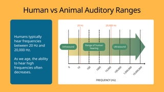 The Basics of Sound Waves Education Presentation in Flat Graphic Flat ...