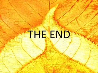 THE END 
