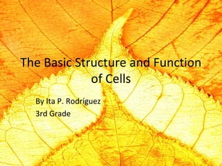 The Basic Structure and Function 
of Cells 
By Ita P. Rodríguez 
3rd Grade 
 