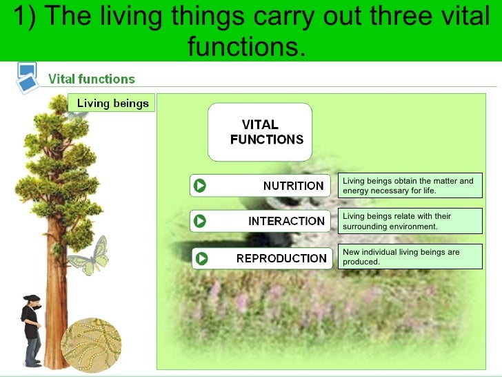 Resultado de imagen de THREE VITALFUNCTIONS