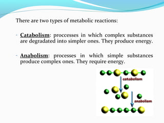 There are two types of metabolic reactions:
- Catabolism: proccesses in which complex substances
are degradated into simpler ones. They produce energy.
- Anabolism: processes in which simple substances
produce complex ones. They require energy.
 