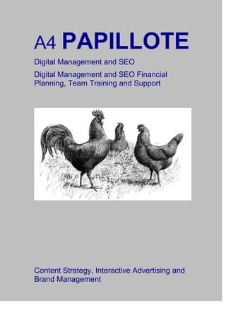 A4 PAPILLOTE
Digital Management and SEO
Digital Management and SEO Financial
Planning, Team Training and Support
Content Strategy, Interactive Advertising and
Brand Management
 