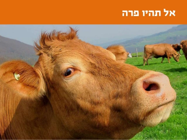 ‫אמפטיה‬‫אמפטיה‬=‫פסיכולוגיה‬+‫מחקר‬
‫אמפטיה‬=‫פסיכולוגיה‬+‫מחקר‬
 