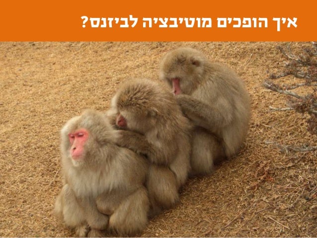 The battle for strategy   uxi live 2017 