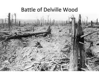 Battle of Delville Wood
 