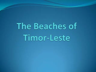 The Beaches ofTimor-Leste 
