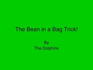 The Bean in a Bag Trick! By The Dolphins 