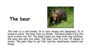 The bear.
The bear is a wild animal. It is very strong and dangerous. It is
brown or white. The bear lives in a forest. The bear’s head is big. Its
neck is short but fat. The bear’s paws are huge with long clutches.
Its eyes and ears are small. The bear lives in a lair. It sleeps in
winter. The bear likes to eat fish, berries, mushrooms, sweets and
honey.

 