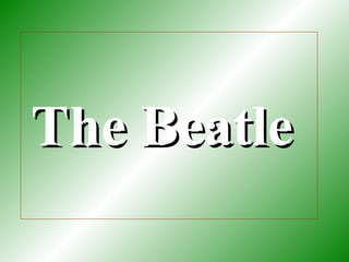 The Beatle  