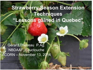 Strawberry Season Extension
Techniques
“Lessons gained in Quebec”
Gérard Thébeau P.Ag.
NBDAAF, Bouctouche
ACORN – November 13, 2014
 