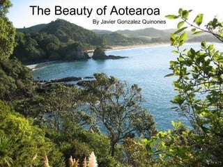 The Beauty of Aotearoa By Javier Gonzalez Quinones 