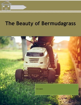 The Beauty of Bermudagrass
U.S. Lawns
 