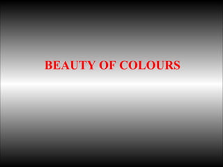 BEAUTY OF COLOURS 