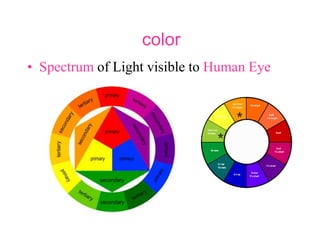 color
• Spectrum of Light visible to Human Eye
 