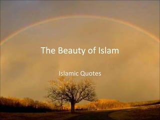 The Beauty of Islam Islamic Quotes 