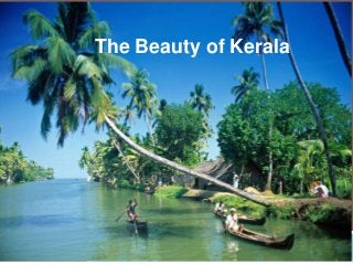 The Beauty of Kerala
 