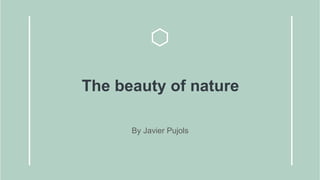 The beauty of nature
By Javier Pujols
 
