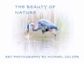 THE BEAUTY OF
    NATURE




ART PHOTOGRAPHY BY MICHAEL COLYER
 