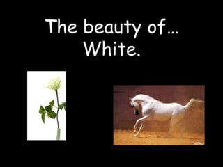 The beauty of…
White.
 