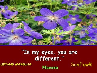 “ In my eyes, you are different.” L!BToNG MARGaHA Maeara SunflowR 