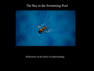 The Bee in the Swimming Pool
Reflections on the limits of understanding
 