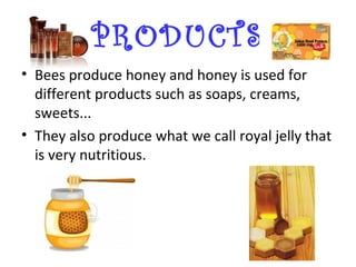 PRODUCTS
• Bees produce honey and honey is used for
  different products such as soaps, creams,
  sweets...
• They also produce what we call royal jelly that
  is very nutritious.
 