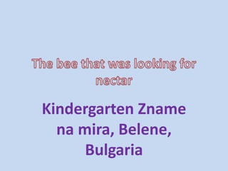 Kindergarten Zname
na mira, Belene,
Bulgaria
 