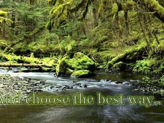 And choose the best way..