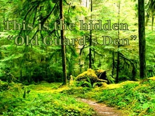 This is the hidden“Old Guard’s Den”