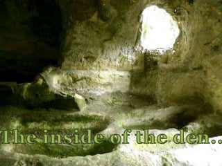 The inside of the den..