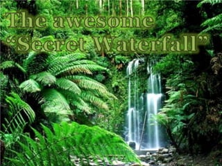 The awesome “Secret Waterfall”