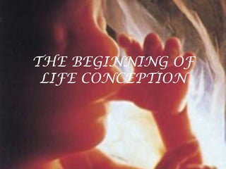 THE BEGINNING OF
 LIFE CONCEPTION
 