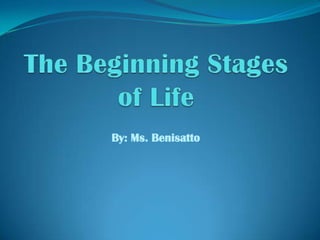 The Beginning Stages of Life By: Ms. Benisatto  