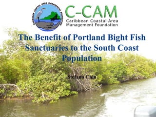 The Benefit of Portland Bight Fish
Sanctuaries to the South Coast
Population
Stefano Chin
 