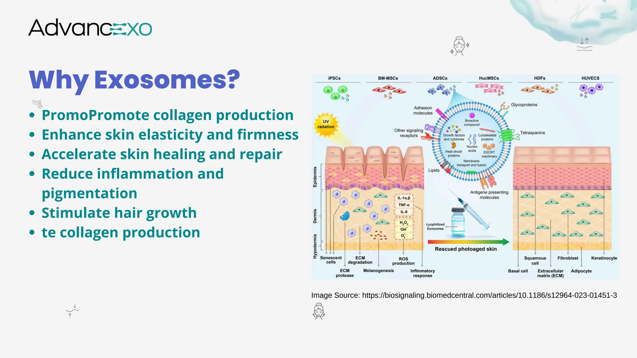 The Benefits and Applications of Exosomes for Cosmetics and Aesthetic ...