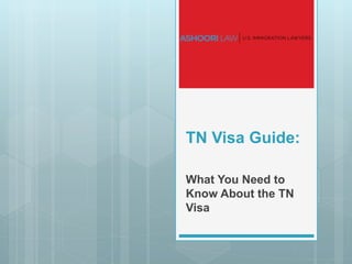 TN Visa Guide:
What You Need to
Know About the TN
Visa
 