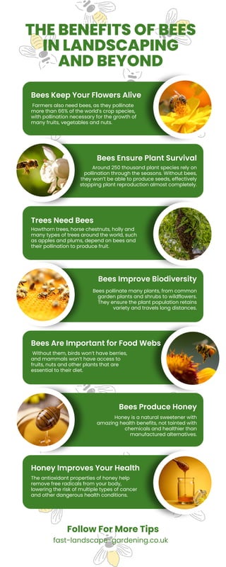 Trees Need Bees
Bees Are Important for Food Webs
Honey Improves Your Health
Bees Ensure Plant Survival
Bees Produce Honey
Around 250 thousand plant species rely on
pollination through the seasons. Without bees,
they won’t be able to produce seeds, effectively
stopping plant reproduction almost completely.
7 EASY WELLNESS TIPS
THE BENEFITS OF BEES
IN LANDSCAPING
AND BEYOND
Bees Keep Your Flowers Alive
Farmers also need bees, as they pollinate
more than 66% of the world’s crop species,
with pollination necessary for the growth of
many fruits, vegetables and nuts.
Hawthorn trees, horse chestnuts, holly and
many types of trees around the world, such
as apples and plums, depend on bees and
their pollination to produce fruit.
Without them, birds won’t have berries,
and mammals won’t have access to
fruits, nuts and other plants that are
essential to their diet.
The antioxidant properties of honey help
remove free radicals from your body,
lowering the risk of multiple types of cancer
and other dangerous health conditions.
Bees Improve Biodiversity
Bees pollinate many plants, from common
garden plants and shrubs to wildflowers.
They ensure the plant population retains
variety and travels long distances.
Honey is a natural sweetener with
amazing health benefits, not tainted with
chemicals and healthier than
manufactured alternatives.
Follow For More Tips
fast-landscape-gardening.co.uk
 