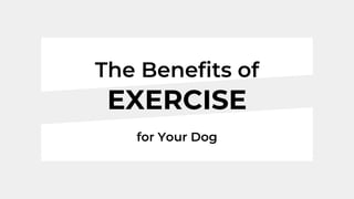 The Benefits of
for Your Dog
EXERCISE
 