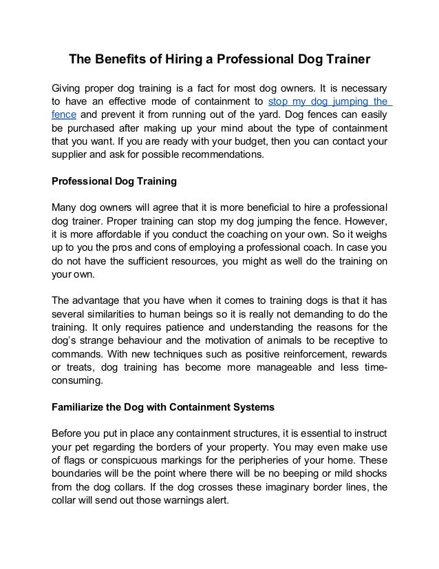 The Benefits of Hiring a Professional Dog Trainer