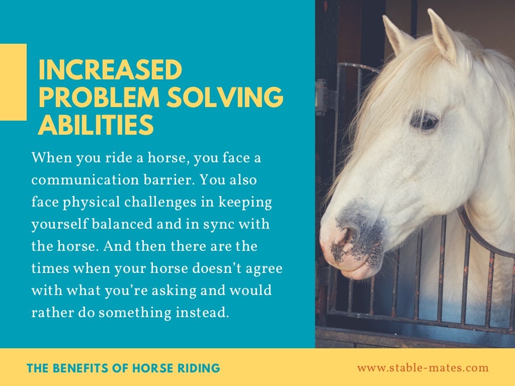 The Benefits of Horse Riding