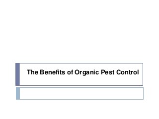 The Benefits of Organic Pest Control
 