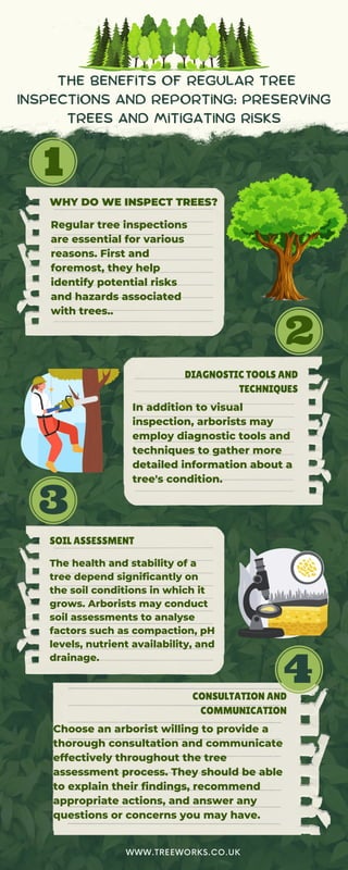 The Benefits of Regular Tree Inspections and Reporting Preserving Trees ...