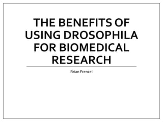 THE BENEFITS OF
USING DROSOPHILA
FOR BIOMEDICAL
RESEARCH
Brian Frenzel
 