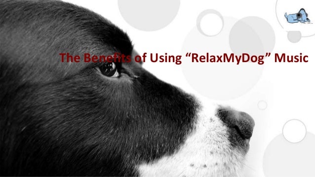 Relaxmydog Relaxing Dog Music 2025