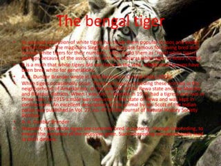 The bengal tiger
• to unusual coloration of white tigers has made them popular in zoos and exotic
animal shows. The magicians Siegfried and Roy are famous for having bred and
trained white tigers for their numbers, referring to them as "royal white tigers"
perhaps because of the association with the Majaras white tiger of Rewa (India).
• It is a myth that white tigers did not thrive in the wild, where small groups have
been bred white for generations.
• A. A. Dunbar Brander wrote in Wild Animals in Central India (1923):
• White tigers occasionally occur. There are regular breeding these animals in the
neighborhood of Amarkantak, at the junction of the Rewa state and the Mandla
and Bilaspur districts. When I was last in Mandla in 1919, had a tigress and two or
three cubs. In 1915 a male was captured in the state of Rewa and was kept in
confinement. An excellent description of this animal by Mr. Scott of the Indian
police was published in Vol. 27, no. 47 of the Journal of Natural History Society
Bombay.
• A. A. Dunbar Brander
• However, most white tigers are currently bred in captivity, through inbreeding, to
ensure the presence of the recessive gene. Such inbreeding can occasionally lead
to birth defects.
 