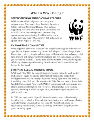 What is WWF Doing ?
STRENGTHENING ANTIPOACHING EFFORTS
WWF works with local partners to strengthen
antipoaching efforts and reduce threats to the natural
habitat in India, Nepal and Bhutan. This includes
supporting local networks that gather information on
wildlife crimes, community-based antipoaching
operations and strengthening local law enforcement.
Today, there are over 400 community-led antipoaching
operations in Nepal’s Terai Arc.
EMPOWERING COMMUNITIES
WWF supports innovative solutions like biogas technology in order to save
tiger forests, improve community health and mitigate climate change impacts.
Biogas is a relativelysimple, reliable,accessible and risk-free technology that
turns manure and human waste into methane gas, which is channeled into a
gas stove in the kitchen. It burns more effectively than wood, increasing the
efficiency of cooking and reducing the reliance of local communities on
forests for fuelwood.
STOPPING ILLEGAL WILDLIFE TRADE
WWF and TRAFFIC, the wildlife trade monitoring network, work to stop
trafficking of tigers by funding antipoaching patrols, and supporting
intelligence networks in strategic locations to stop tiger parts and products
from being channeled into black markets in Asia. We support the South Asia
Wildlife Enforcement Network (SAWEN) so that regional governments are
able to combine information and resources. This includes early warning
systems, investing in effective legislation, and improving enforcement of
policies and laws.
In 2010, we supported a Nepal-India resolution to conserve biodiversity
including tigers, which will include joint monitoring and intelligence sharing.
A similar formal understanding was signed by Nepal with China on
biodiversity conservation, especiallycurbing the trade of illegal wildlife
parts, including tigers.
 